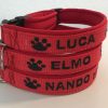 Verstellhalsband Neoprenpolsterung – Bild 2